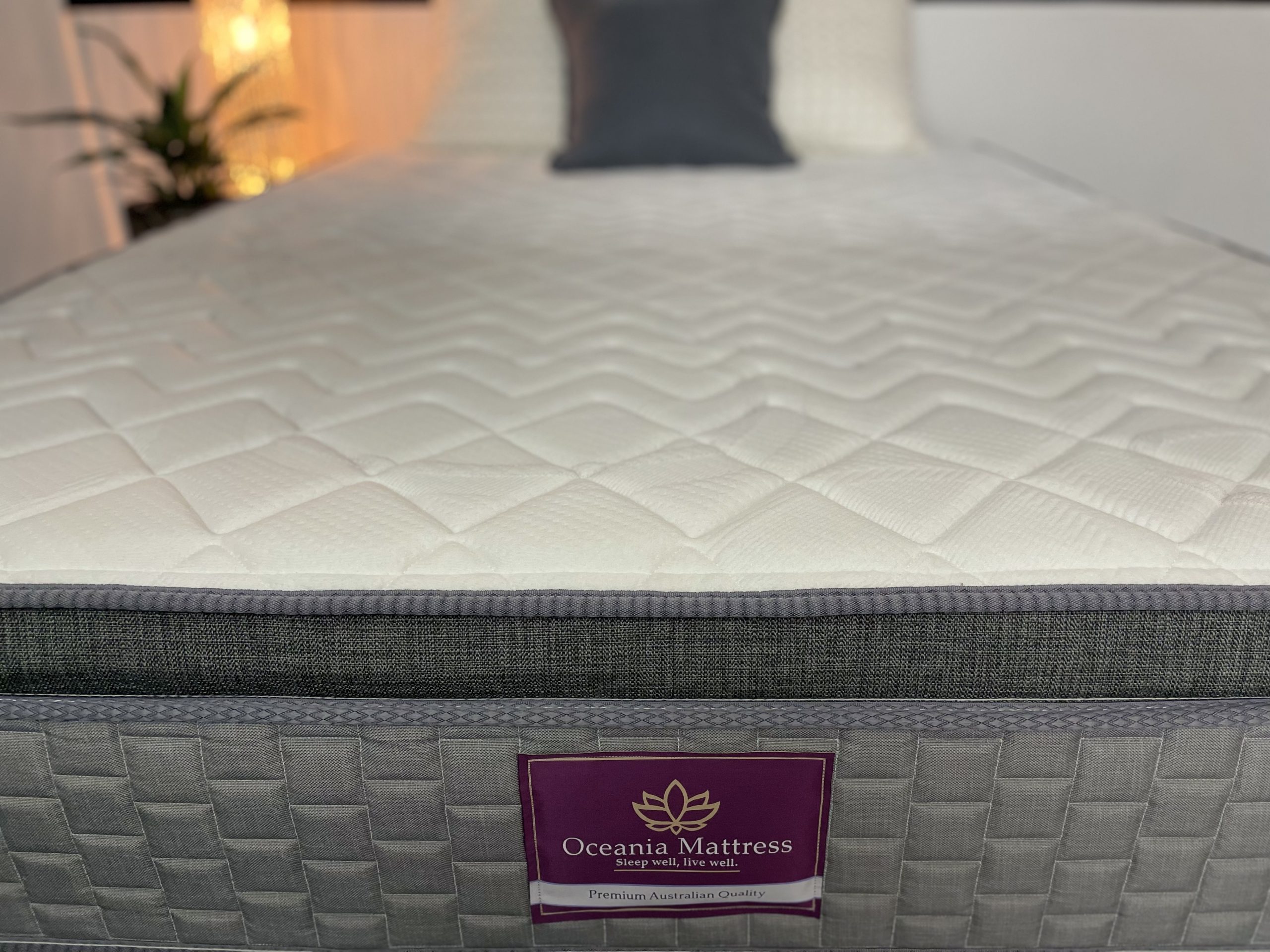 chiro care mattress review
